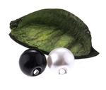 Knoflík 10mm - perla k našití POLIN